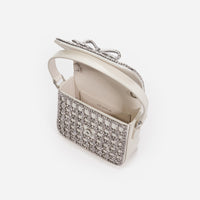 Champagne Crystal Micro Bag