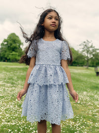 Blue Organza Lace Mini Dress